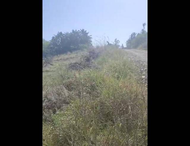 LAND FOR SALE IN PALM BEACH